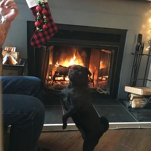 Meet your Posher, Deb